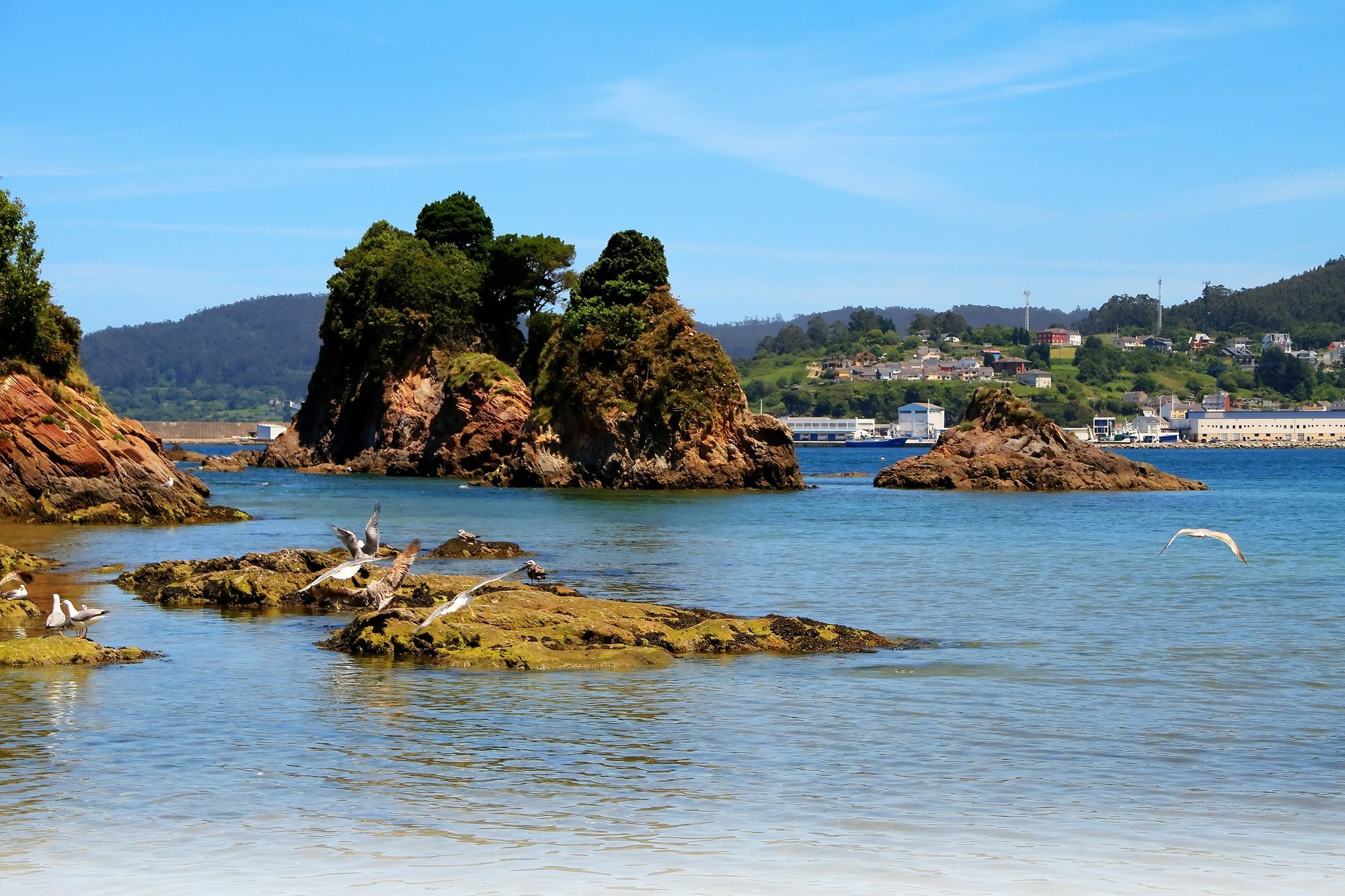 Duerming Sea View Viveiro Διαμέρισμα Εξωτερικό φωτογραφία